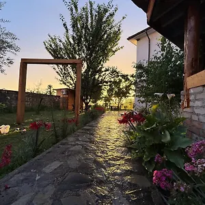 Meti Kruje